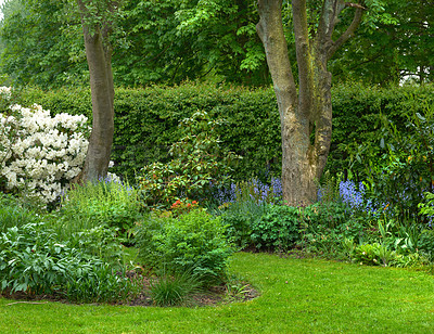 Buy stock photo A series of beautiful garden photos