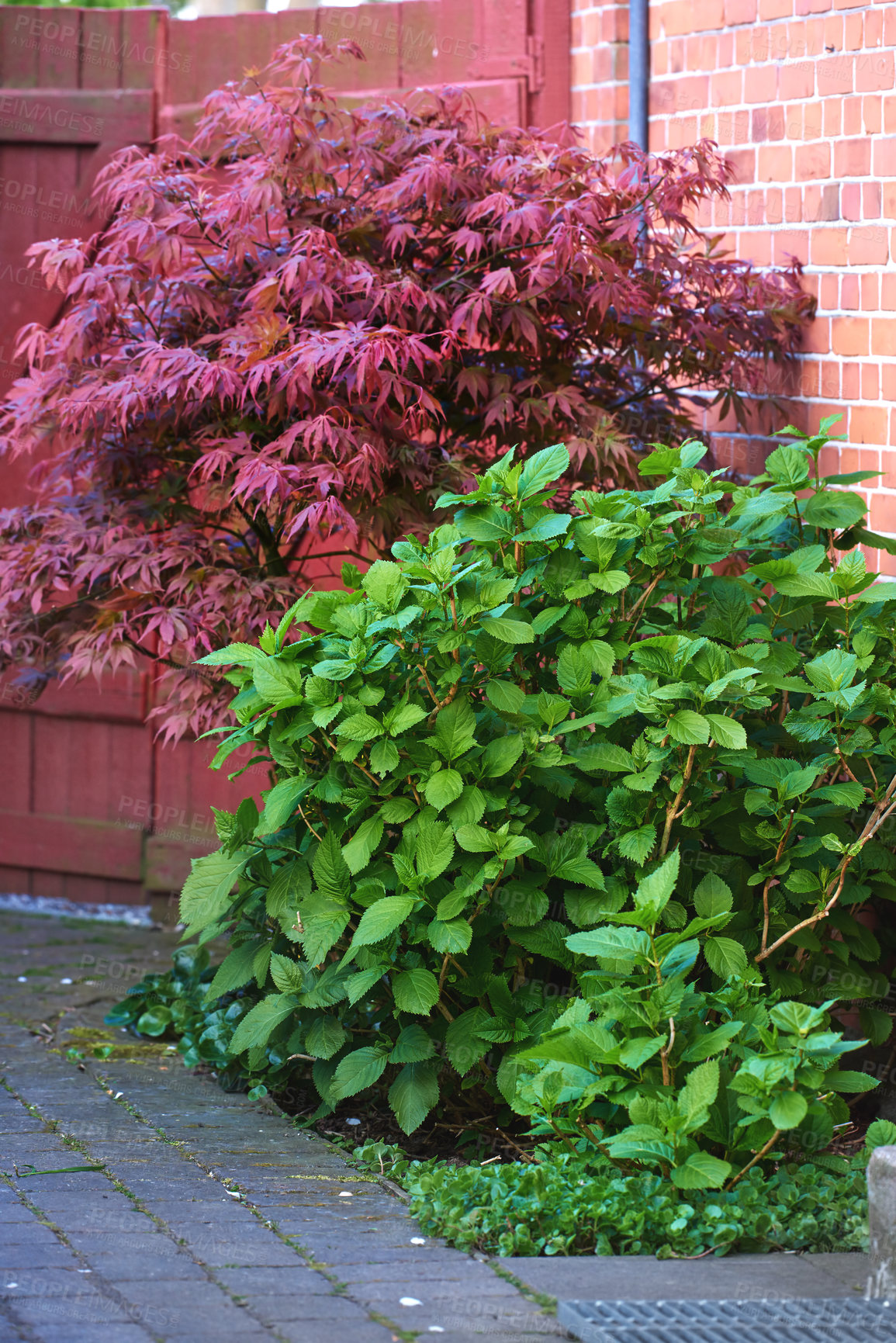 Buy stock photo A series of beautiful garden photos