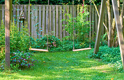 Buy stock photo Two fun garden swings in a private and secluded, lush home garden. Rope and wooden swing set to enjoy carefee and playful activity on summer day.  Serene, peaceful, zen, quiet yard with fresh plants 