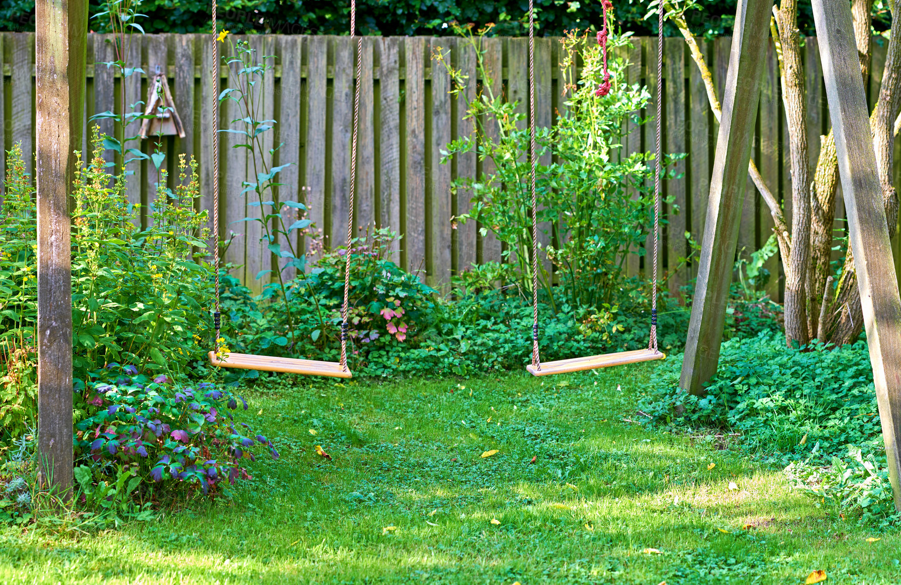 Buy stock photo Two fun garden swings in a private and secluded, lush home garden. Rope and wooden swing set to enjoy carefee and playful activity on summer day.  Serene, peaceful, zen, quiet yard with fresh plants 