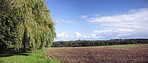 Early springtime in the countryside - Denmark