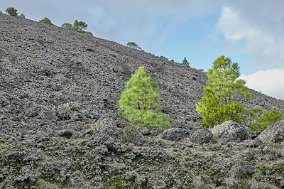Buy stock photo Beautiful lava landscape on the Cumbre Nueva in La Palma