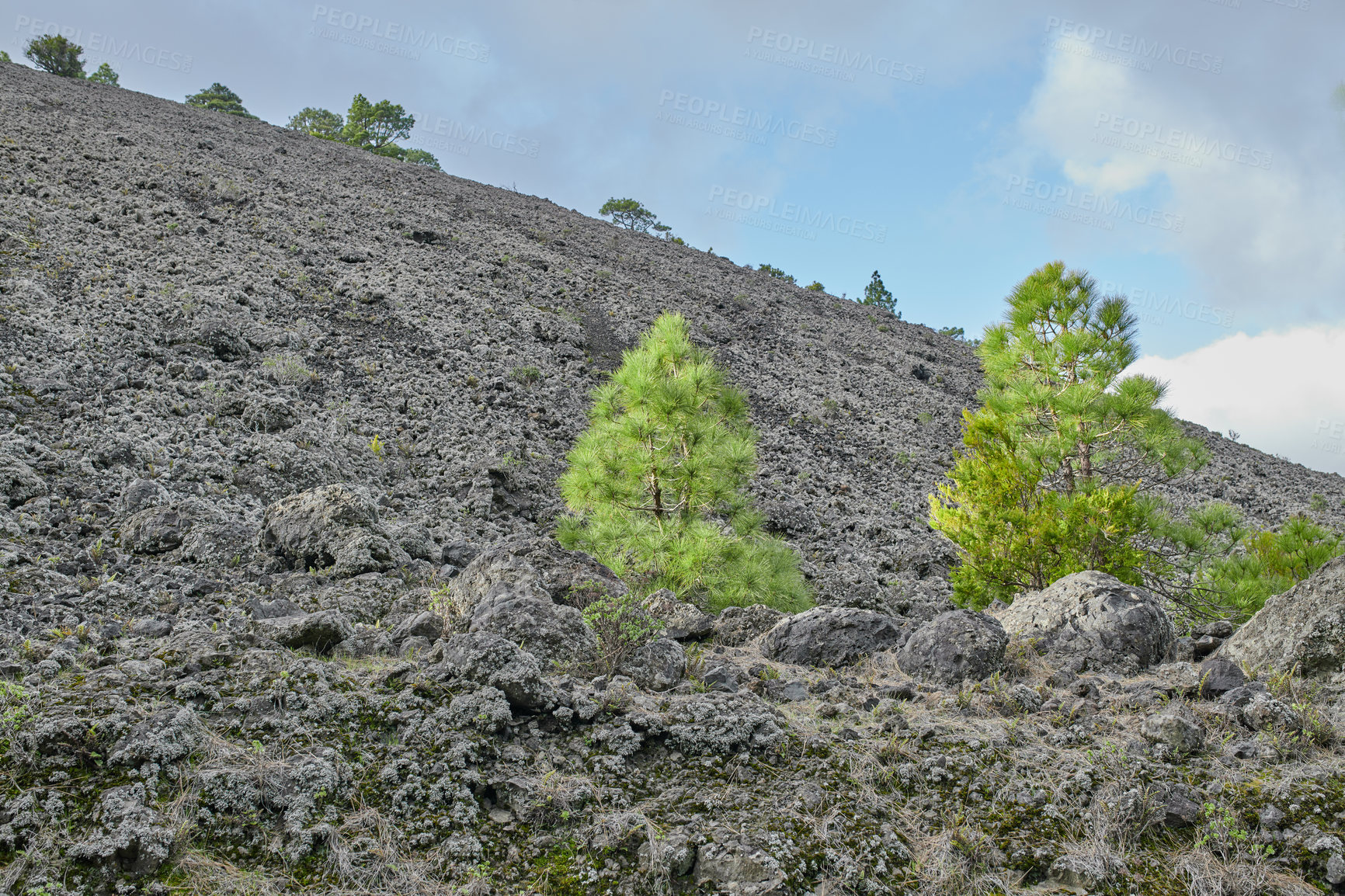 Buy stock photo Background, mountain and terrain with trees on volcanic location of Cumbre Nueva in La Palma, Spain. Earth, environment and rocky lava valley outdoor in nature for sightseeing, tourism or travel