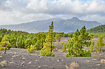 The Cumbre Nueva in La Palma