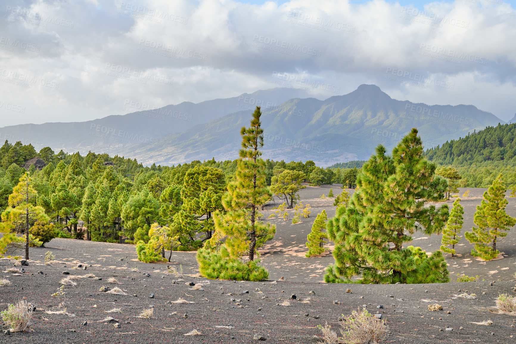 Buy stock photo Beautiful lava landscape on the Cumbre Nueva in La Palma