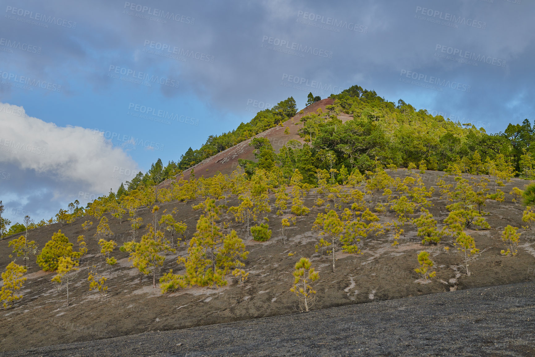 Buy stock photo Beautiful lava landscape on the Cumbre Nueva in La Palma