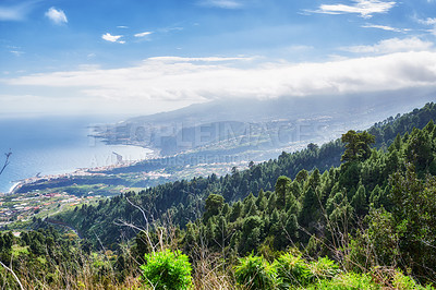 Buy stock photo Beautiful pine forests in the mountains of La Palma, Canary Islands, Spain. Scenic landscape with tall trees, lush green foliage in nature on a sunny summer day overlooking the ocean and blue sky 