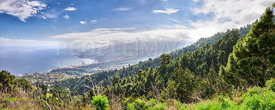 Buy stock photo Panoramic banner of Canary islands in Spain. Lush green forest landscape in fresh, quiet nature. Scenic views of a soothing, silent rural land, tall trees growing under cloudy sky with copyspace