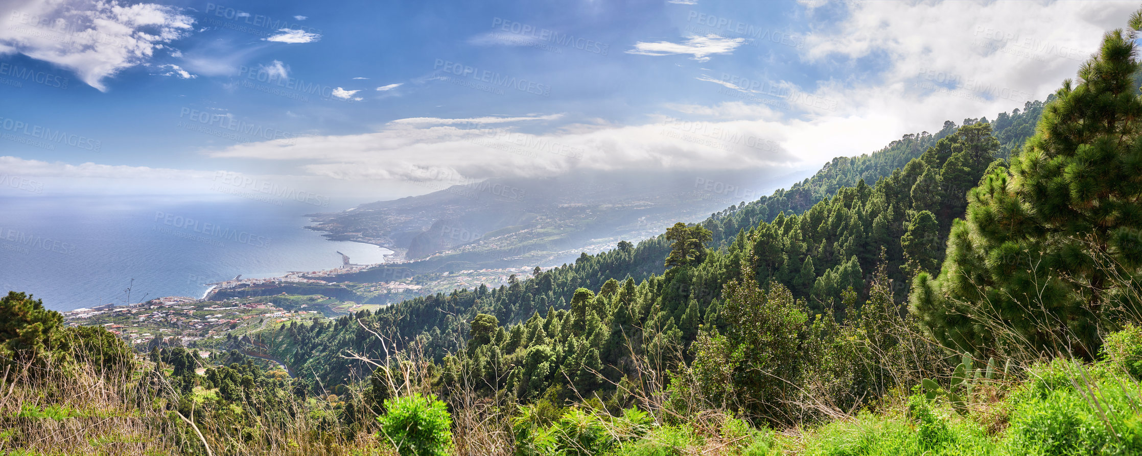 Buy stock photo Panoramic banner of Canary islands in Spain. Lush green forest landscape in fresh, quiet nature. Scenic views of a soothing, silent rural land, tall trees growing under cloudy sky with copyspace