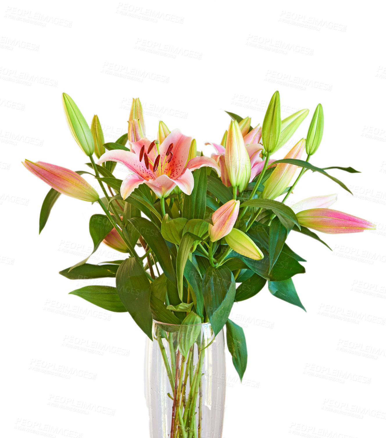 Buy stock photo Bouquet with different kind of flowers