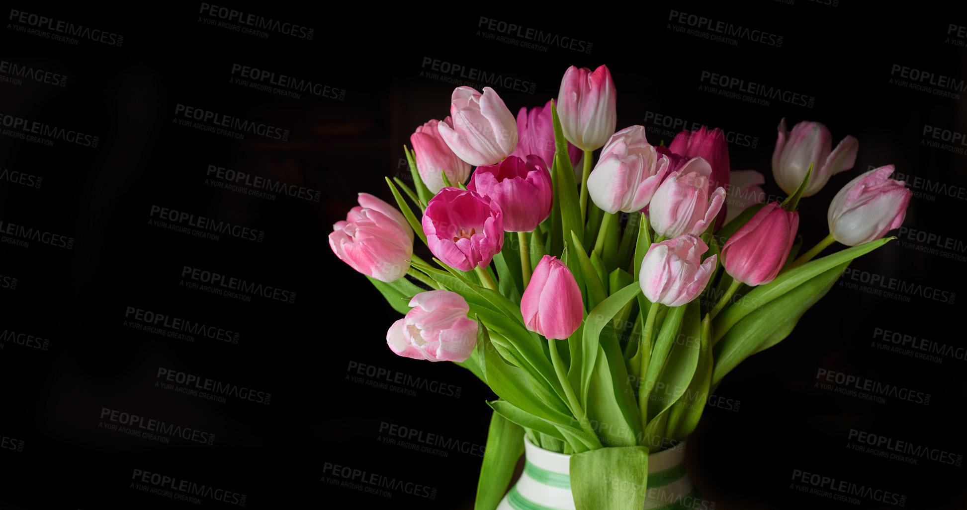 Buy stock photo Copy space of tulip flowers in a vase against a black background. Closeup of beautiful flowering plants with pink petals and green leaves blooming and blossoming. A gift bouquet for Valentine's Day