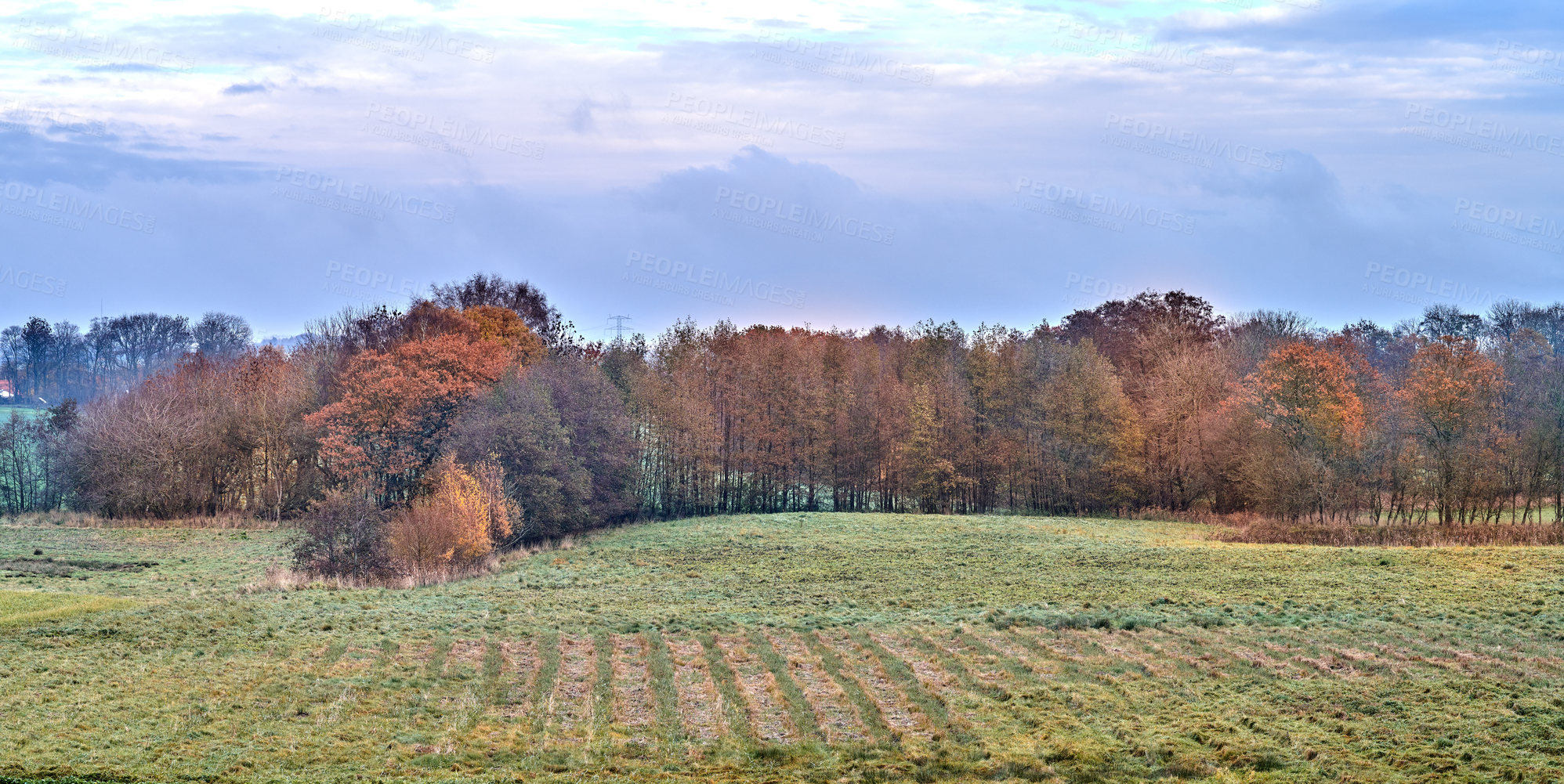 Buy stock photo A photo of a vibrant country field in early autumn