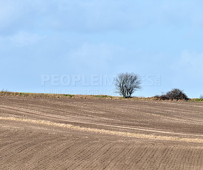 Buy stock photo Countryside, sky and farm with plowed dirt for agriculture, agronomy and tree in environment. Landscape, soil or tilled earth to prepare for planting, cultivation and field with mockup space outdoor