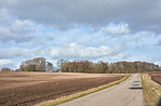 Early springtime in the countryside - Denmark