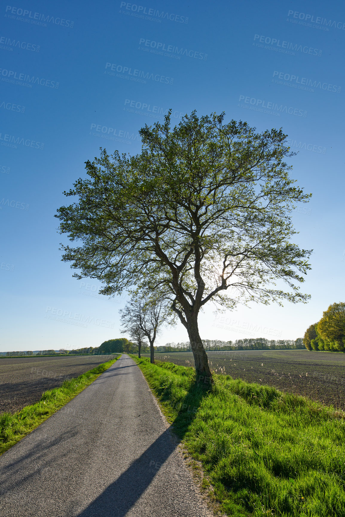 Buy stock photo A photo of the countryside in early springtime