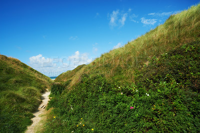 Buy stock photo Beautiful landscape with a path fresh green grass with a blue sky background. Peaceful and scenic view of bright vibrant pasture or meadow outdoors in nature on a hill on a cloudy summer day