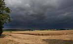 Landscape photo in the colors of autumn