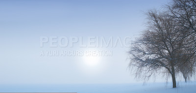 Buy stock photo Landscape view of snow fields, copy space and dry tree on a cold winter day in New Zealand. Sun shining over sky and glacier ice on a morning with mist or fog. Background after heavy snowfall