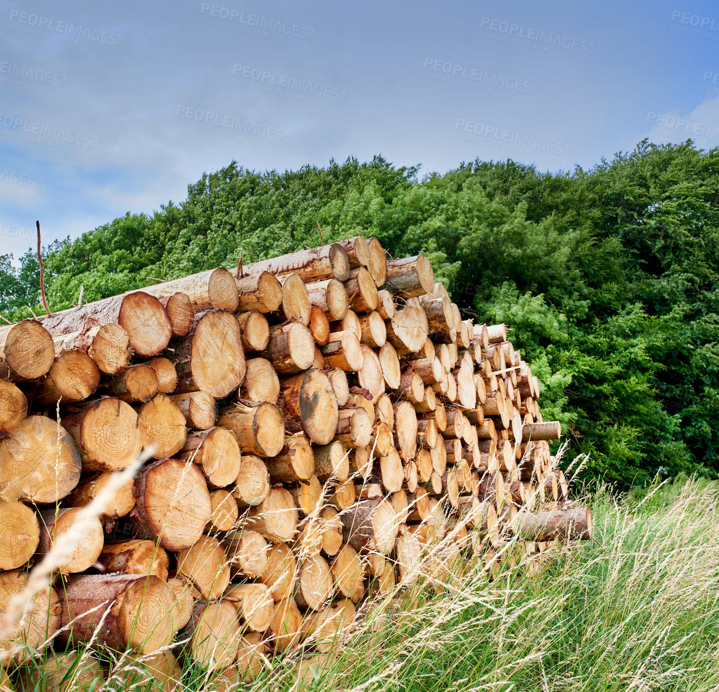 Buy stock photo Lumber industry - lot of woodpiles