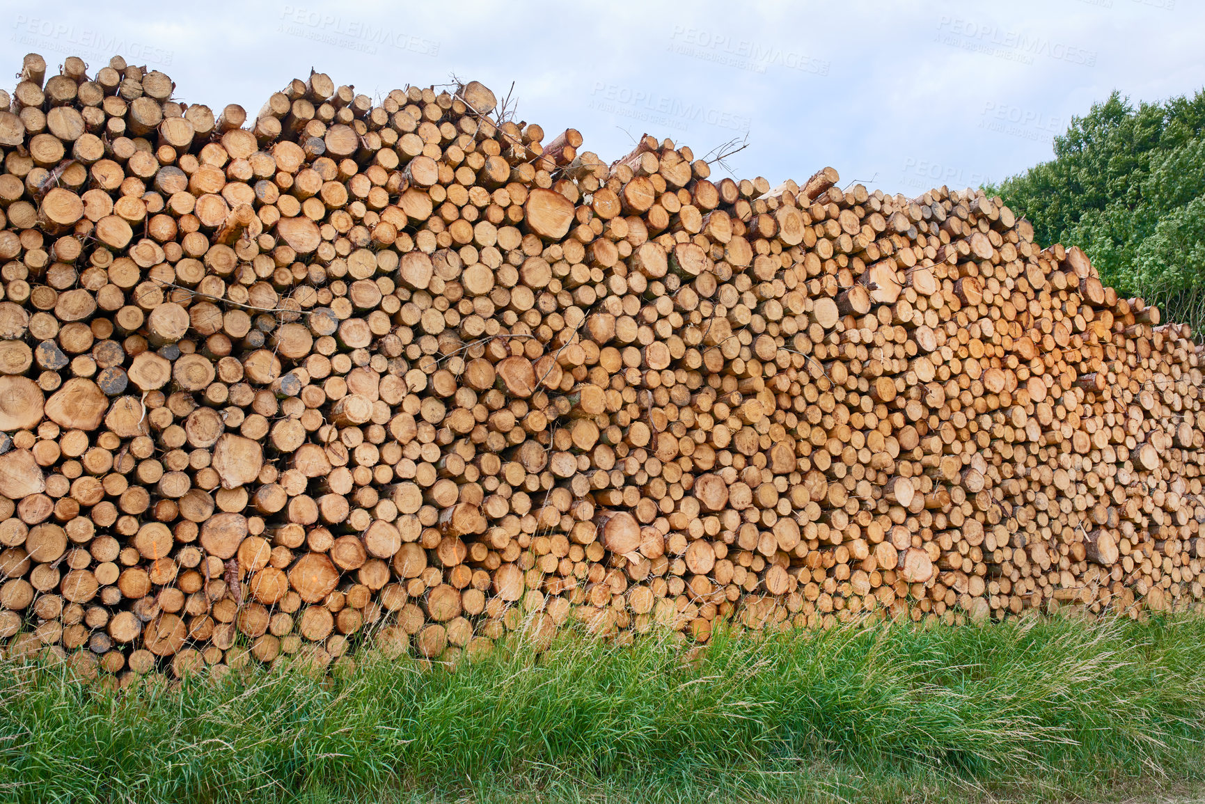 Buy stock photo Lumber industry - lot of woodpiles