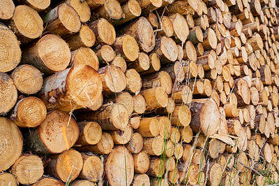 Buy stock photo Lumber industry - lot of woodpiles