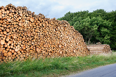 Buy stock photo Lumber industry - lot of woodpiles