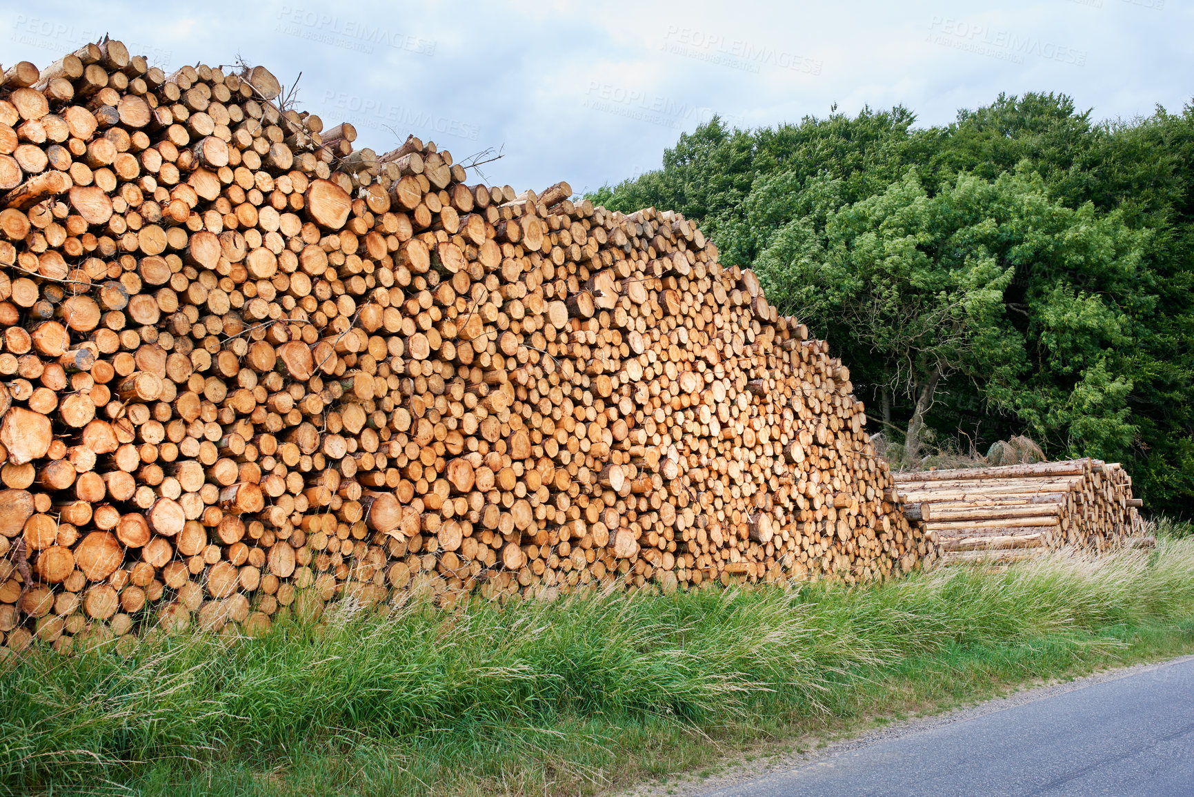 Buy stock photo Lumber industry - lot of woodpiles