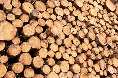 Buy stock photo Lumber industry - lot of woodpiles