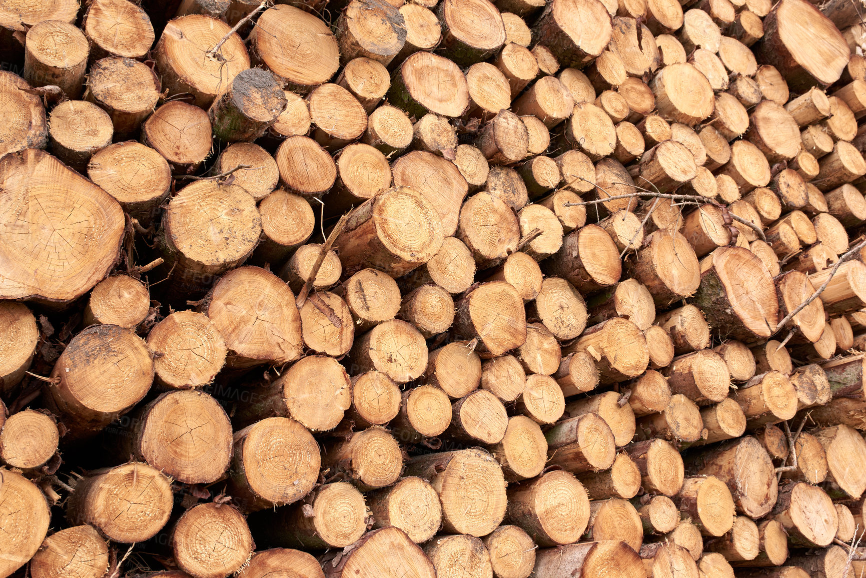 Buy stock photo Lumber industry - lot of woodpiles