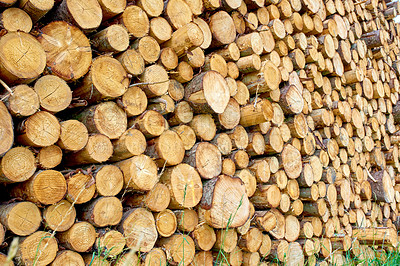 Buy stock photo Timber, fuel and environment with stack of log in nature for lumber, construction and wood sawmill. Trees, furniture industry and pine with pile of firewood for pattern, forestry or background