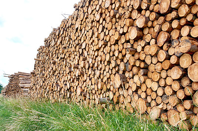 Buy stock photo Lumber industry - lot of woodpiles