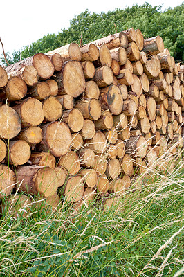 Buy stock photo Lumber industry - lot of woodpiles