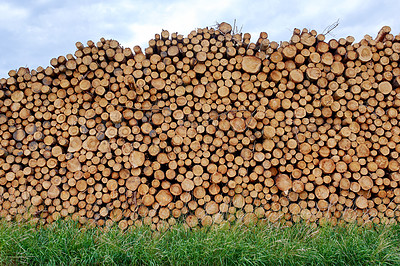 Buy stock photo Lumber industry - lot of woodpiles