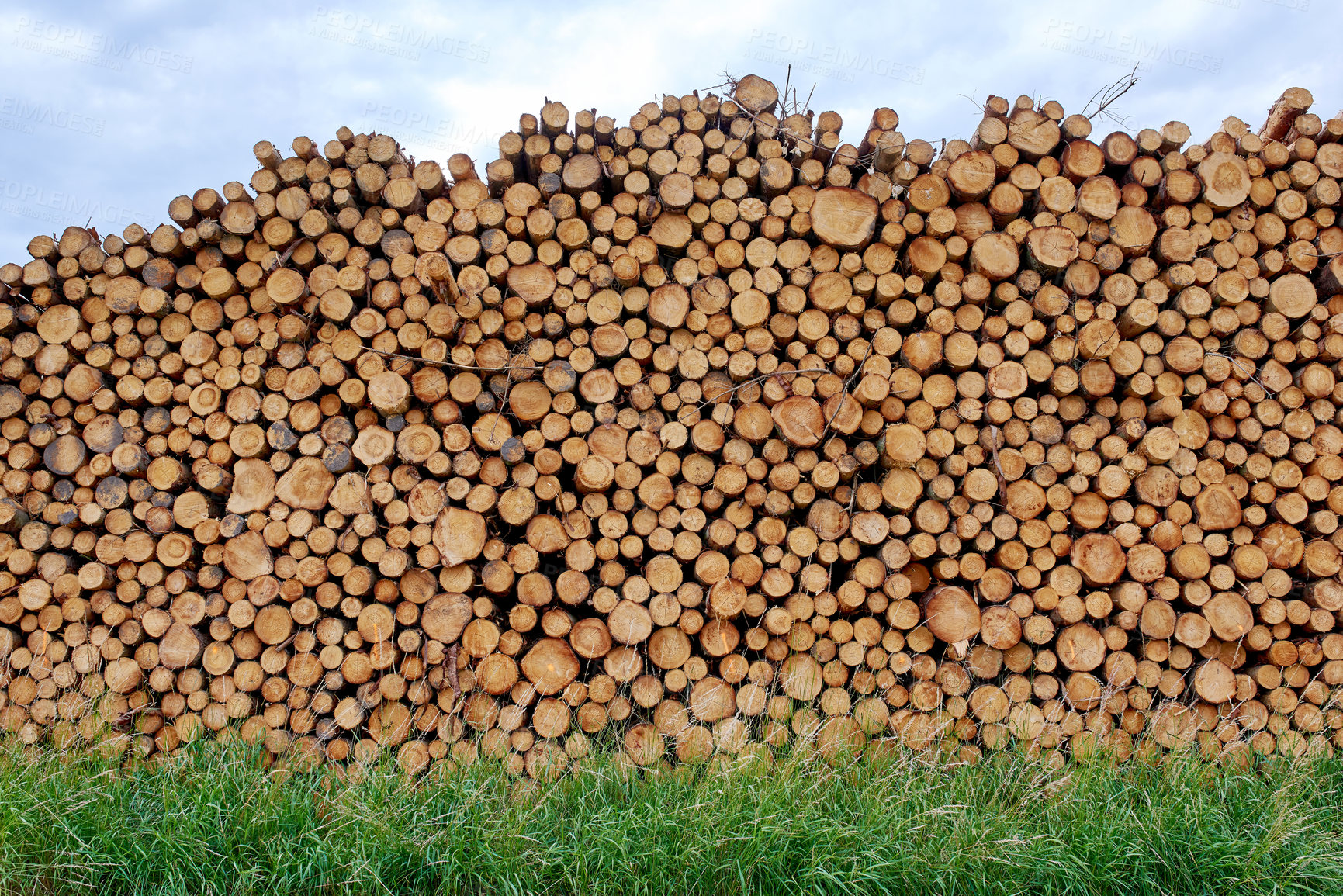 Buy stock photo Lumber industry - lot of woodpiles