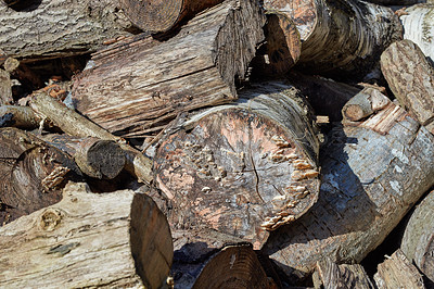 Buy stock photo Woodpiles in nature