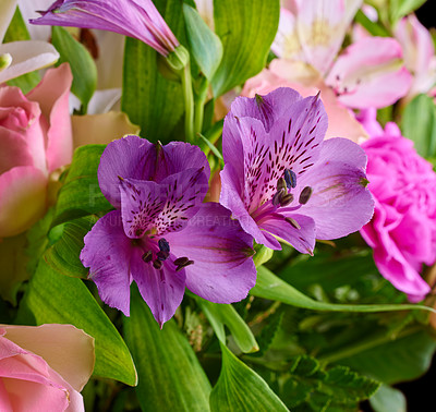 Buy stock photo A bouquet of appreciation