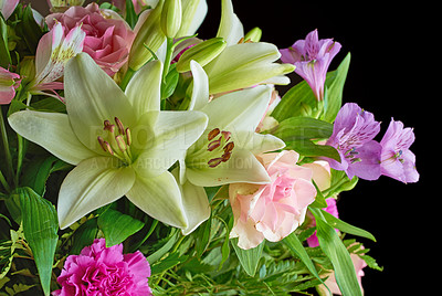 Buy stock photo A bouquet of appreciation