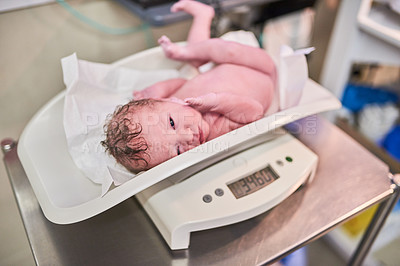Buy stock photo Shot of a newly born baby girl being weighed on a scale in the hospital