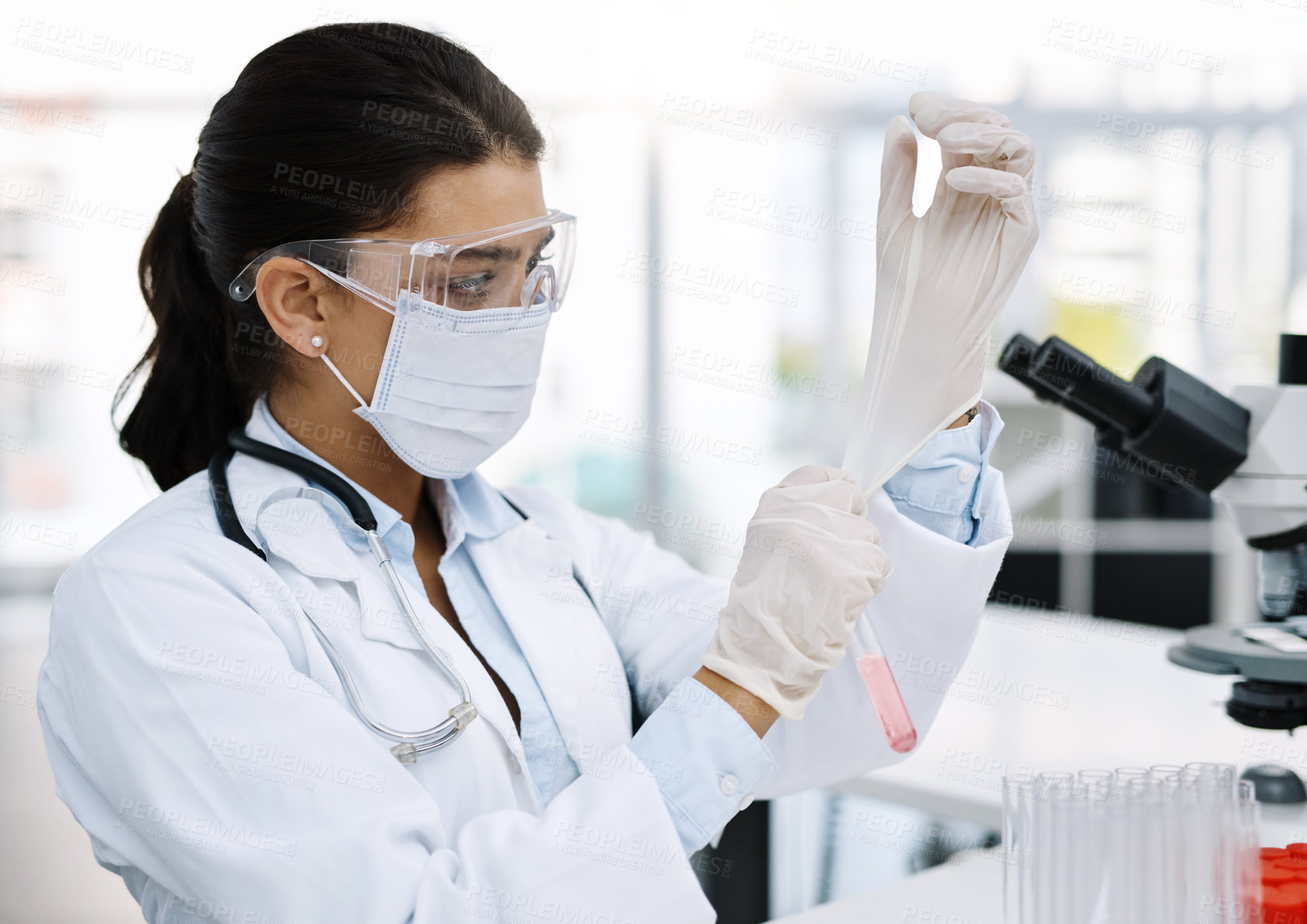 Buy stock photo Shot of a young scientist putting on protective gloves while working in a lab