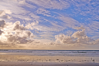 Buy stock photo The beautiful Torrey Pines Beach, San Diego, California