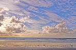 Torrey Pines Beach - San Diego, California, USA