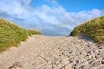 The west coast beach of Jutland, Denmark