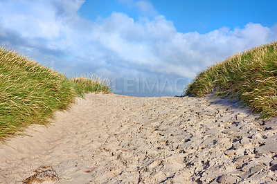 Buy stock photo Closeup of a sand path with lush green grass growing on the west coast beach of Jutland, Denmark. Beautiful blue skies on a warm summer day over a dry sand dune situated on a coastline bay area