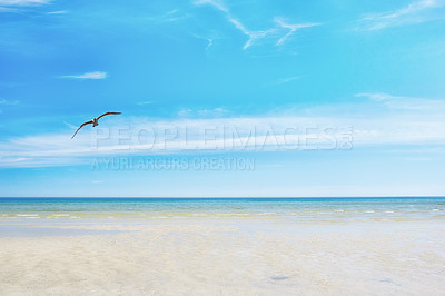 Buy stock photo The beautiful Torrey Pines Beach, San Diego, California