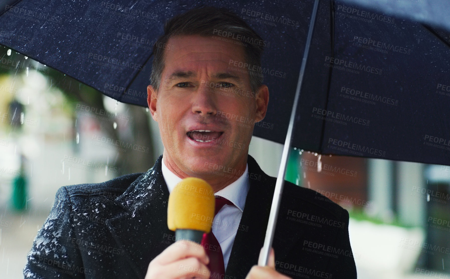 Buy stock photo Portrait of a mature male reporter holding a microphone and an umbrella while doing an interview out in the city
