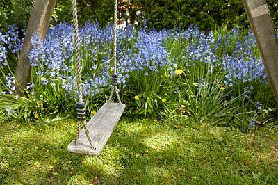 Buy stock photo Old wooden swing in a garden with blue flowers and moss in a lush backyard. Peaceful scene of a forgotten playground with vibrant wild bluebells and overgrown lawn in spring with copy space