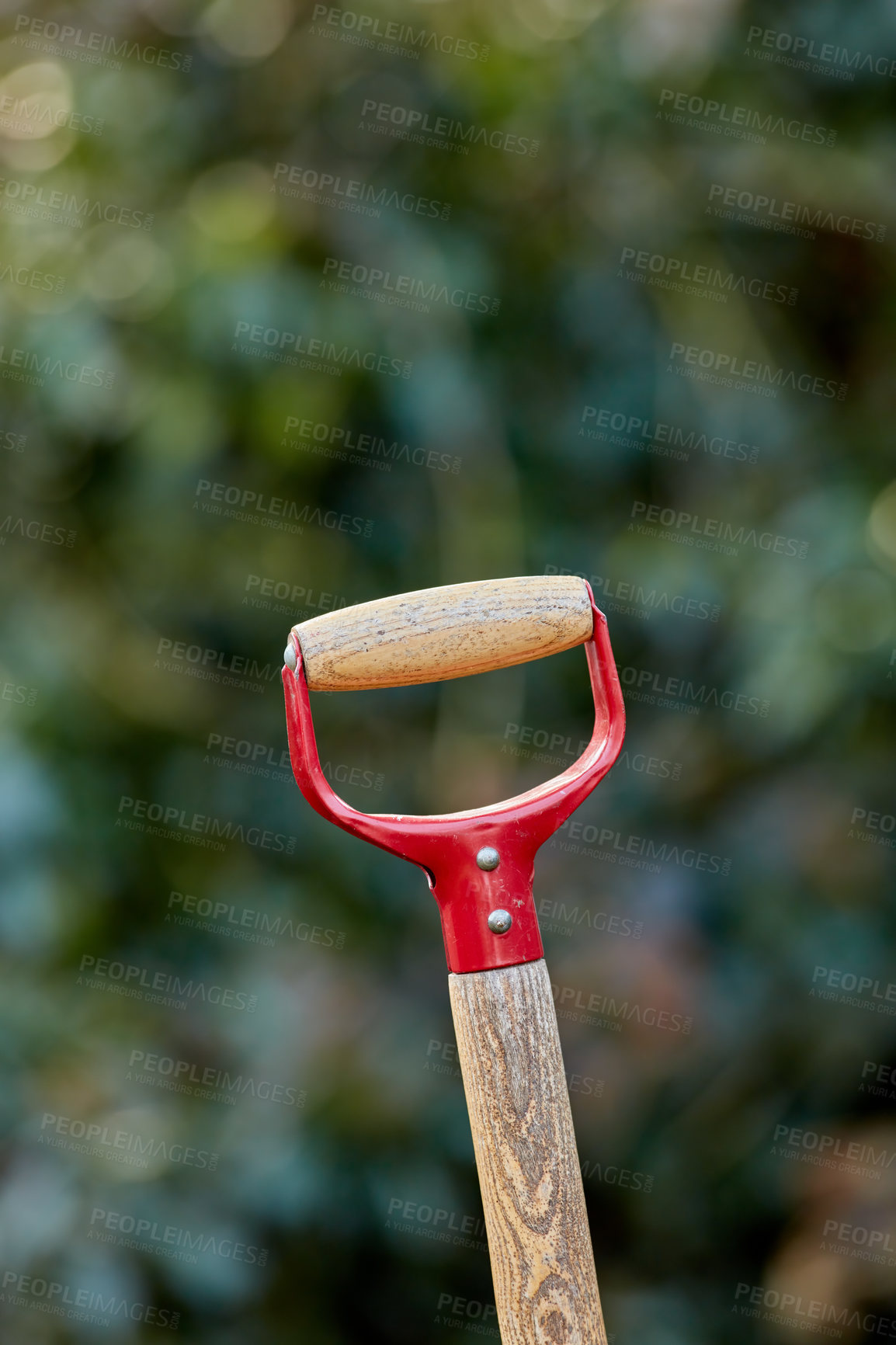 Buy stock photo Closeup of wooden shovel handle in a garden or field with copyspace. Zoom in on macro details, patterns and shape of a gardening tool ready to be used in springtime. Digging made easier with tools 