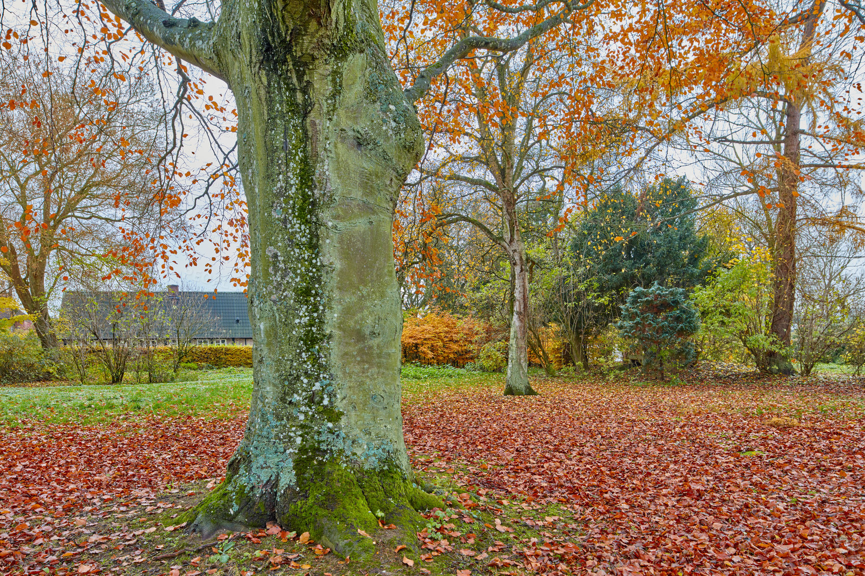 Buy stock photo A garden of all seasons