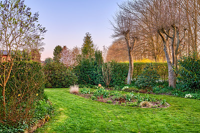 Buy stock photo Landscape view of cultivated garden in serene, peaceful private or secluded backyard at home. Neat, calm and freshly mowed green lawn and grass. Serene, tranquil scenic nature yard to relax on break