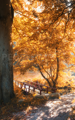 Buy stock photo Small bridge in Autumn - natural background